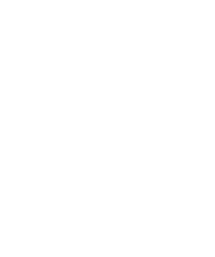 KP WOOD